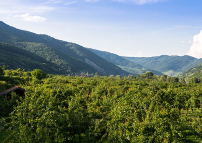 Ausblick Terrasse Gasthof zur Venus