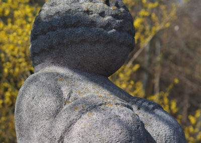 Venus von Willendorf